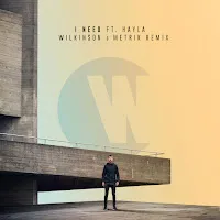Wilkinson — I Need (Wilkinson & Metrik Remix) (Feat. Hayla) — обложка